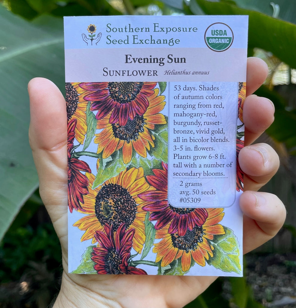 Evening Sun Sunflower Seed Packet